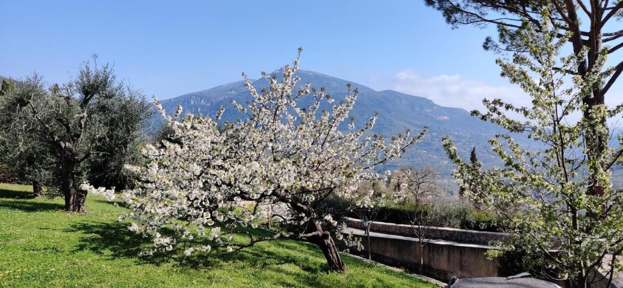 Le Bar-sur-Loup Loup Castel Boutique Hotel B&B מראה חיצוני תמונה