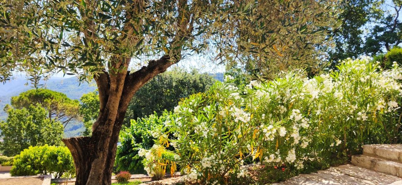 Le Bar-sur-Loup Loup Castel Boutique Hotel B&B מראה חיצוני תמונה